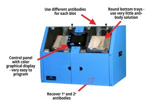 BlotBot Features